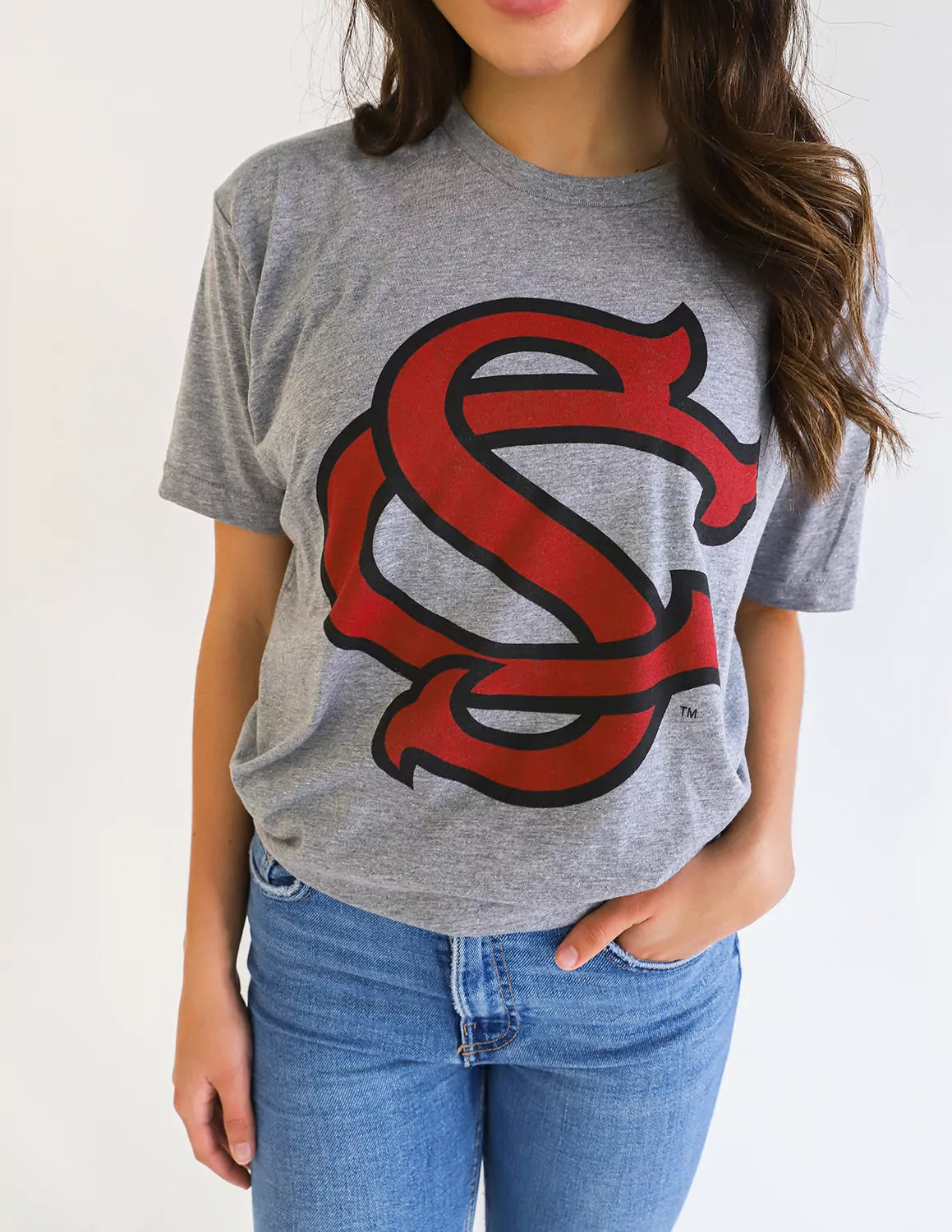 USC BSB Interlock