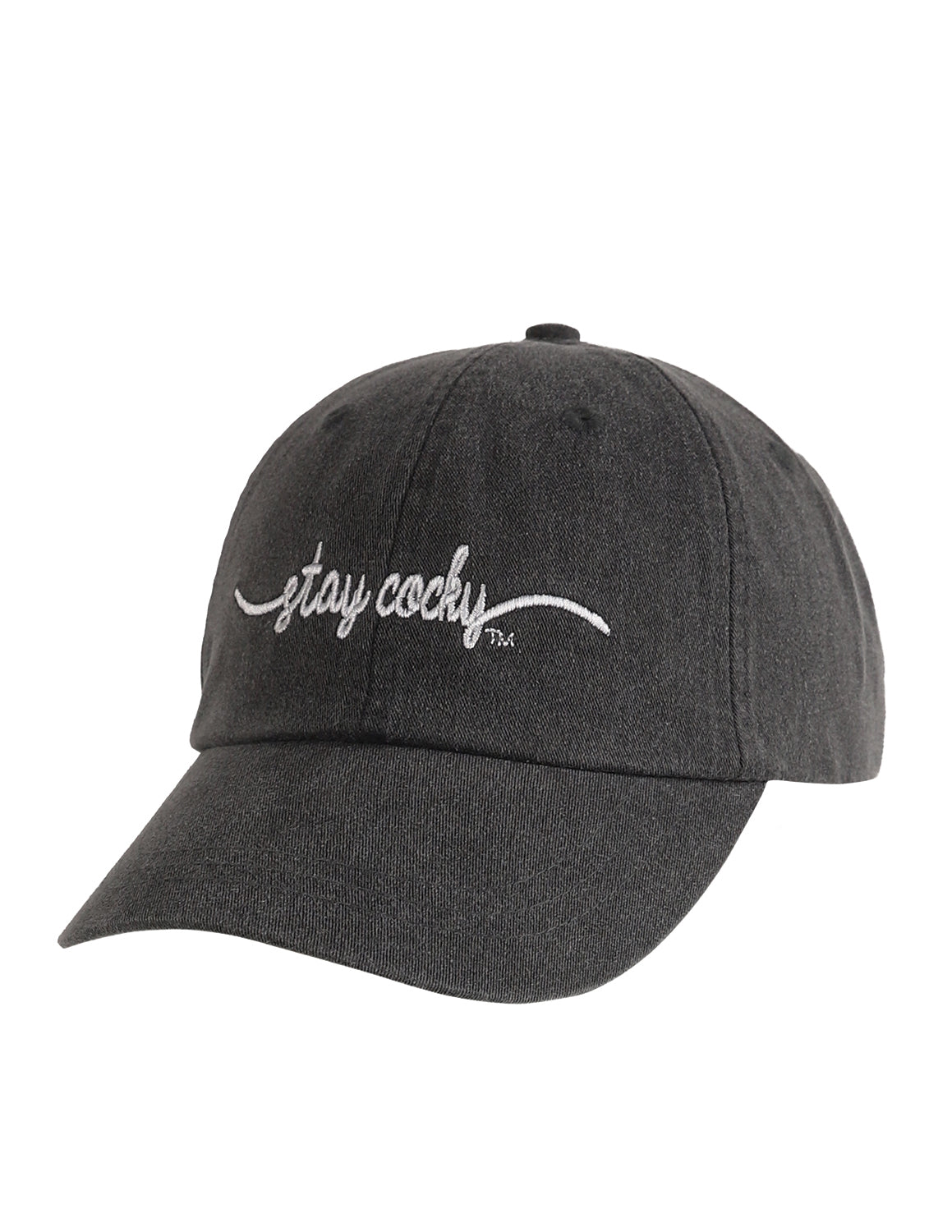 Stay Cocky Script Hat