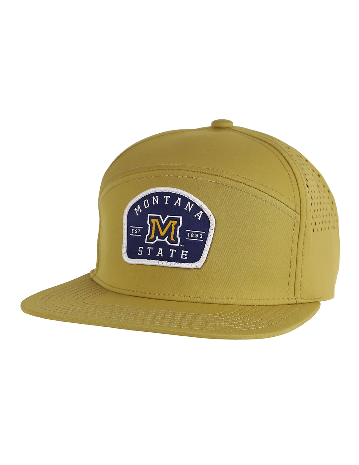 MSU All You Want Hat