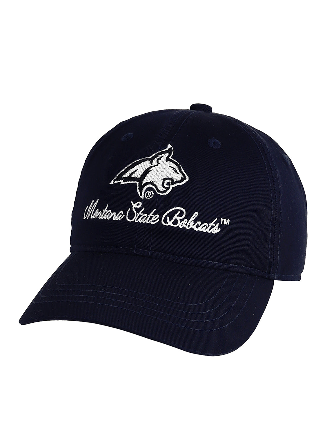 MSU Logo With Mini Script Hat