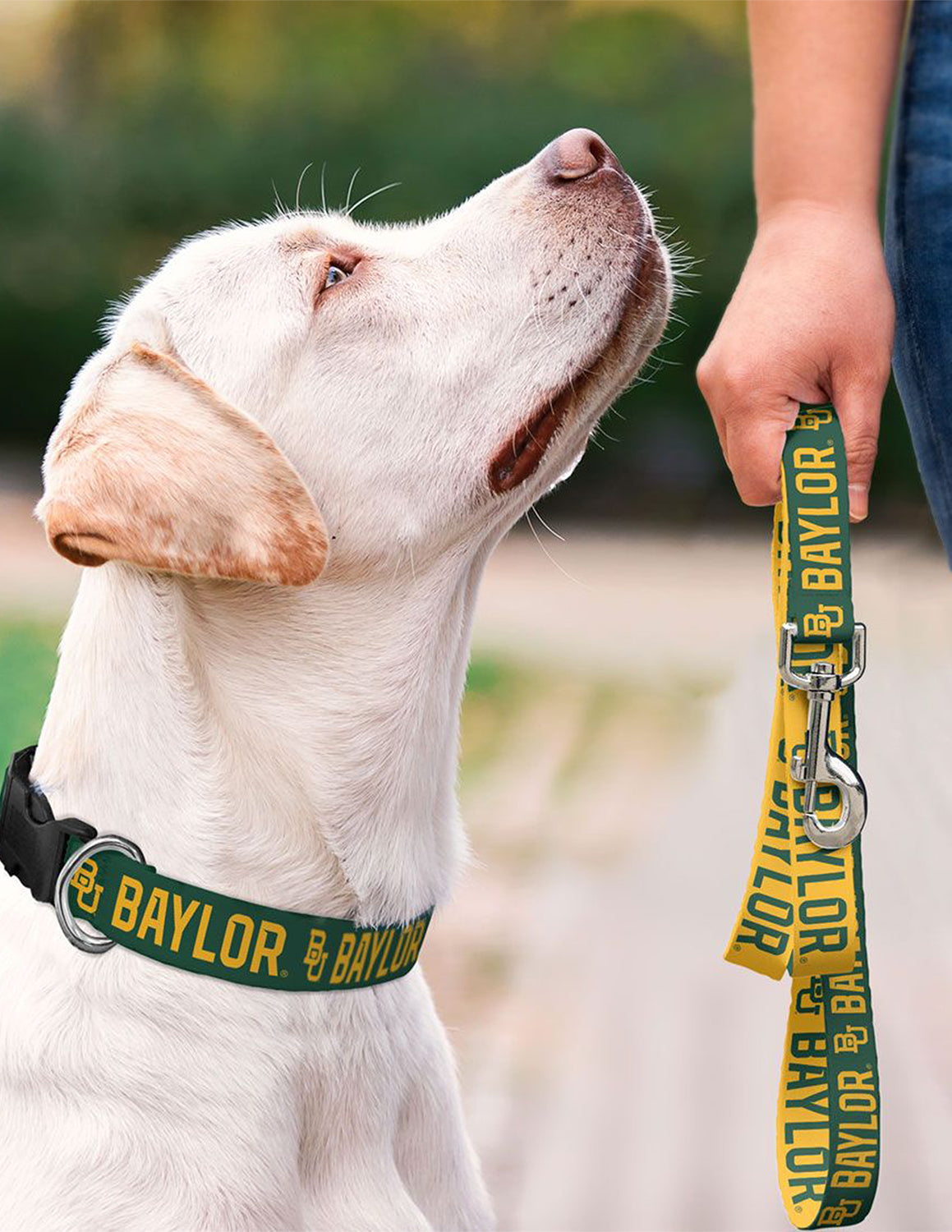 BU Dog Leash