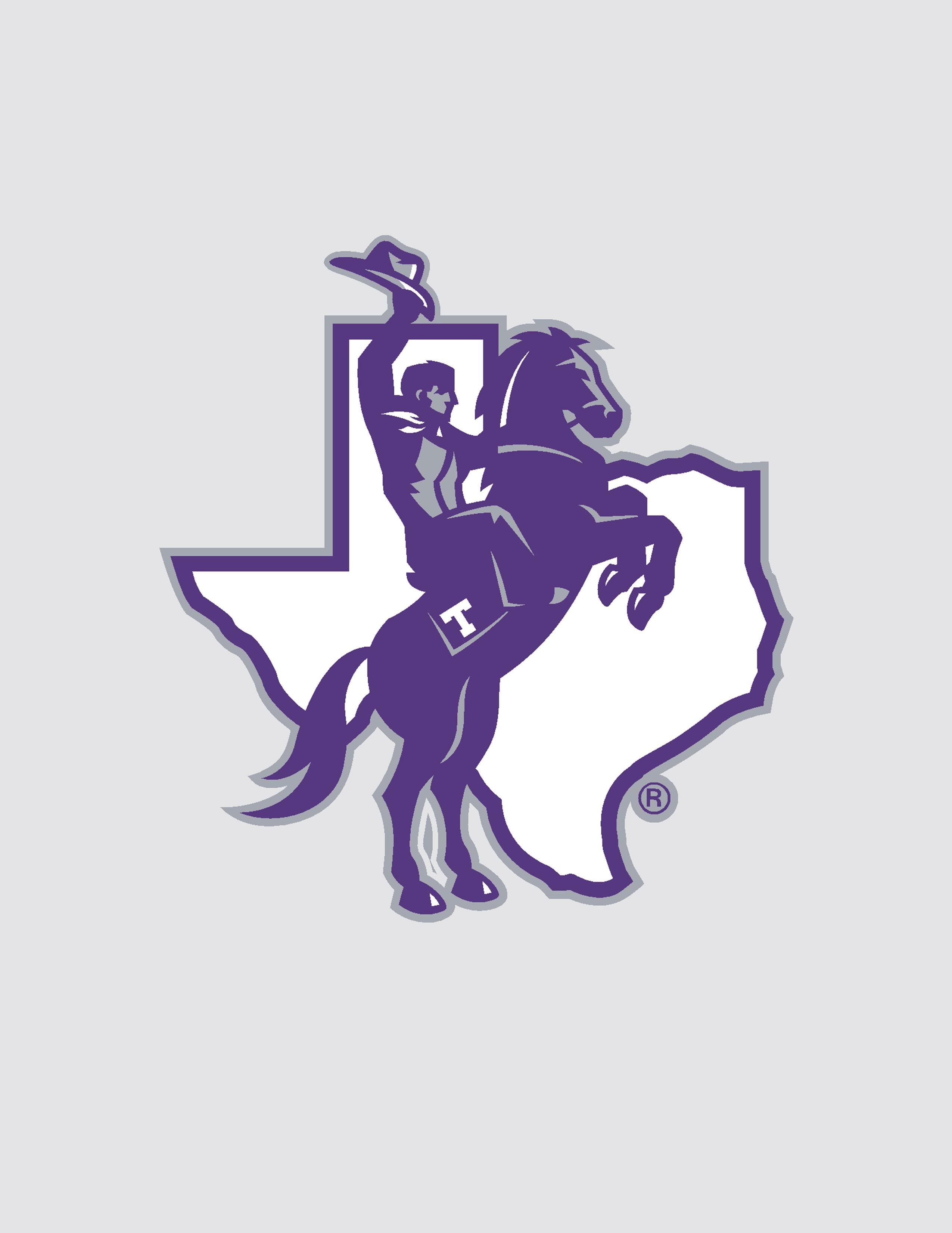 TSU New Texan Rider Car Decal