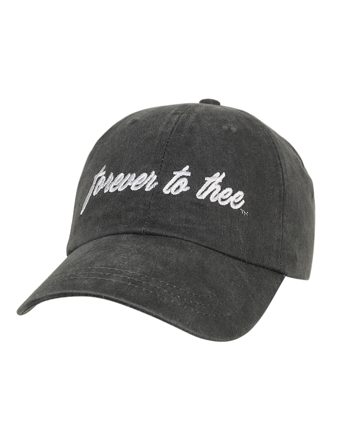 USC Forever To Thee Hat