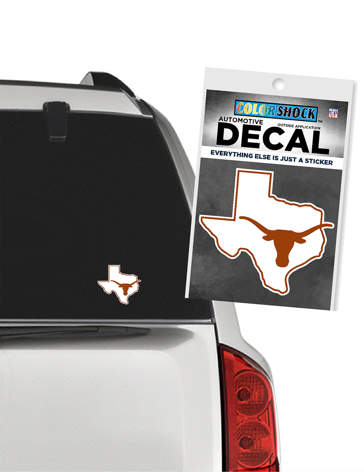 UT Longhorns In Texas Decal
