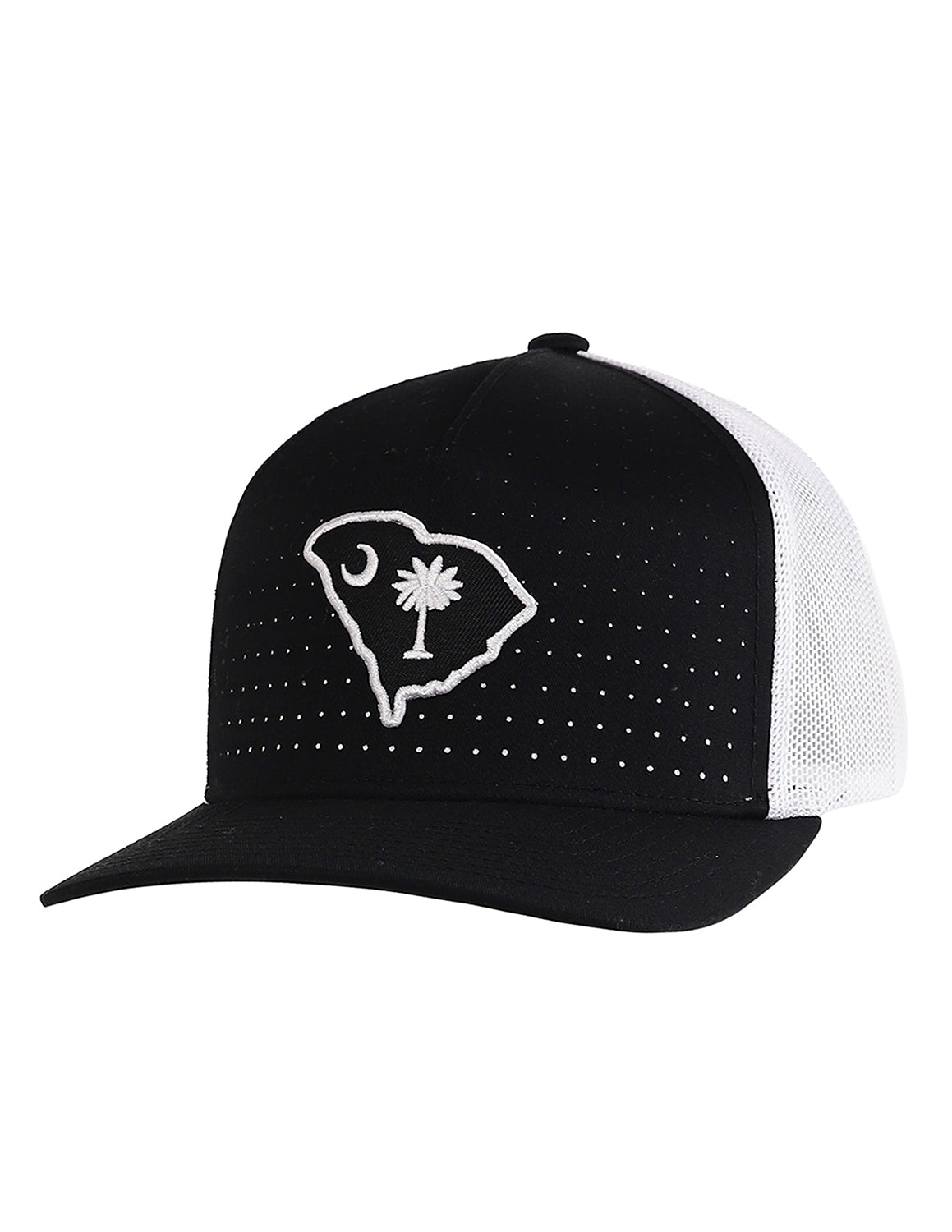 P Palmetto Solid Hat