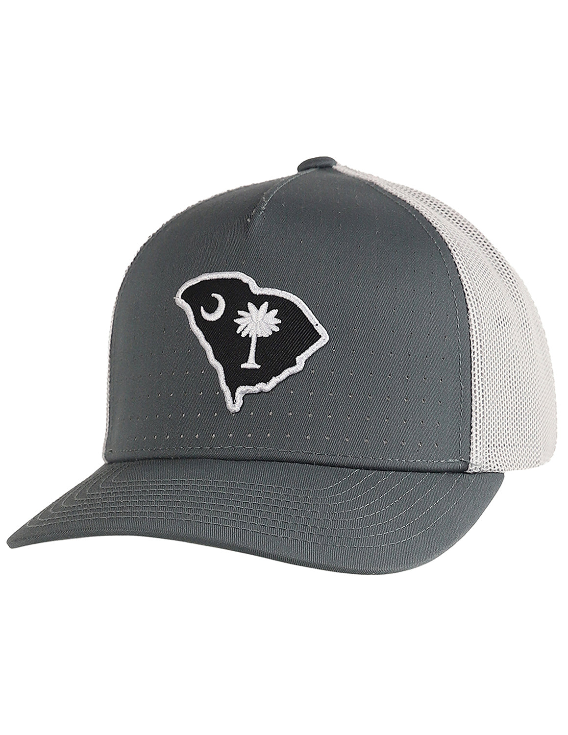 P Palmetto Solid Hat