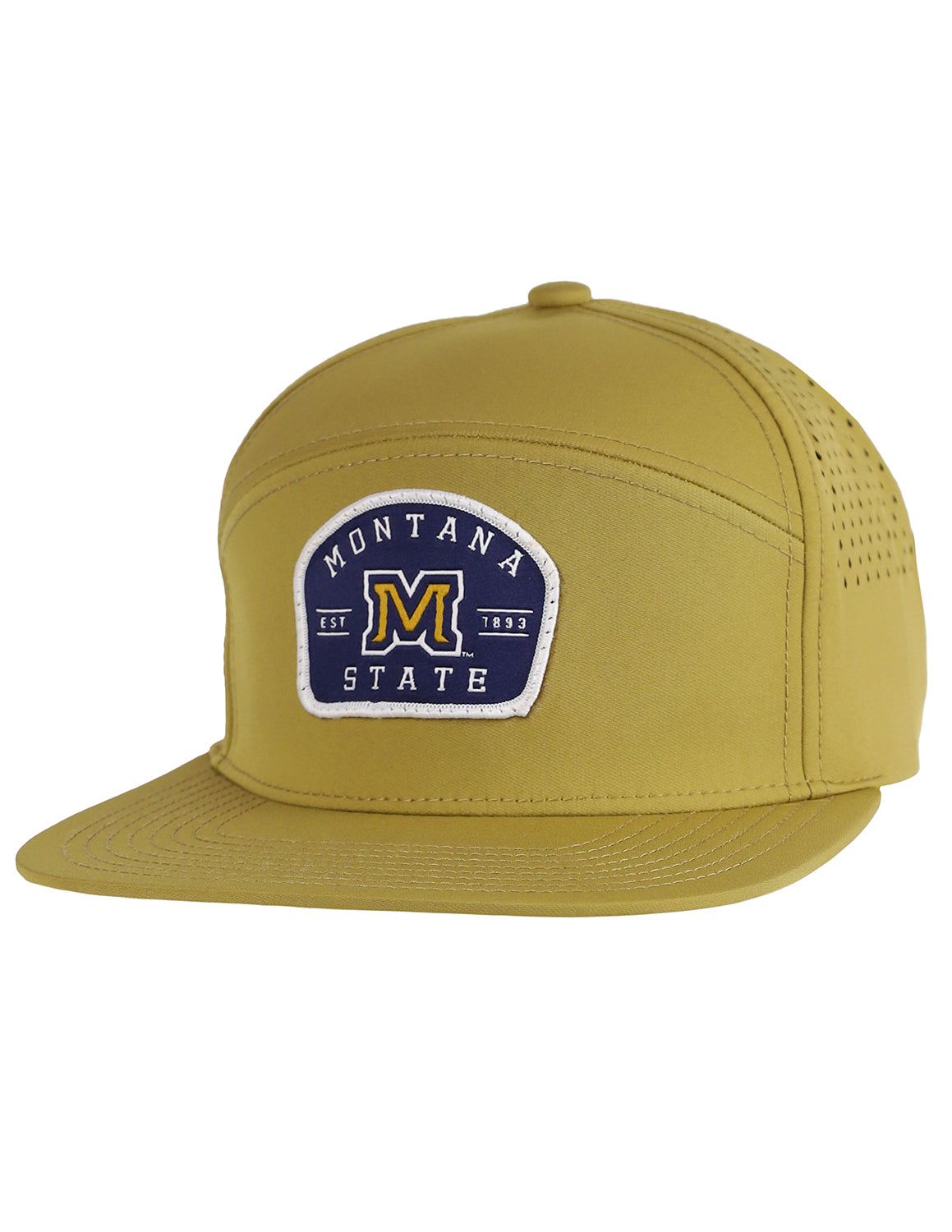 MSU All You Want Hat