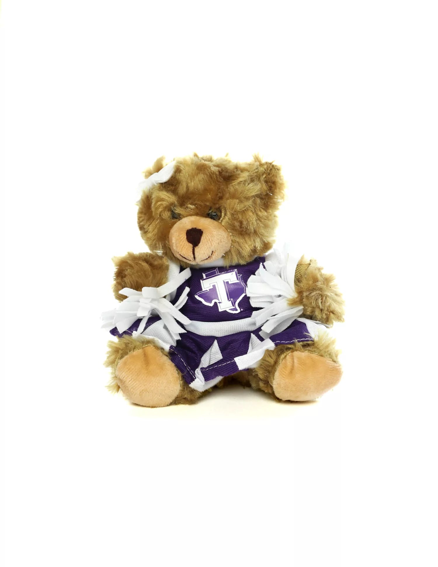 TSU Cheer Bear