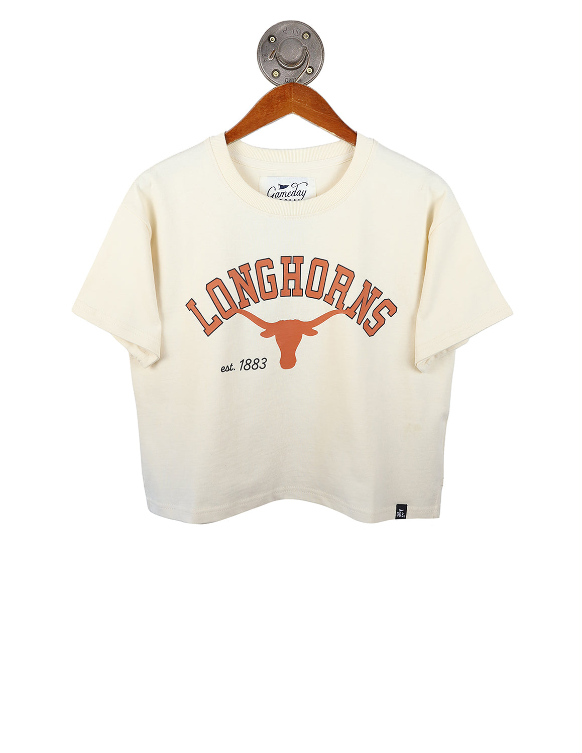 UT Mascot Arch Heavyweight Cropped Tee