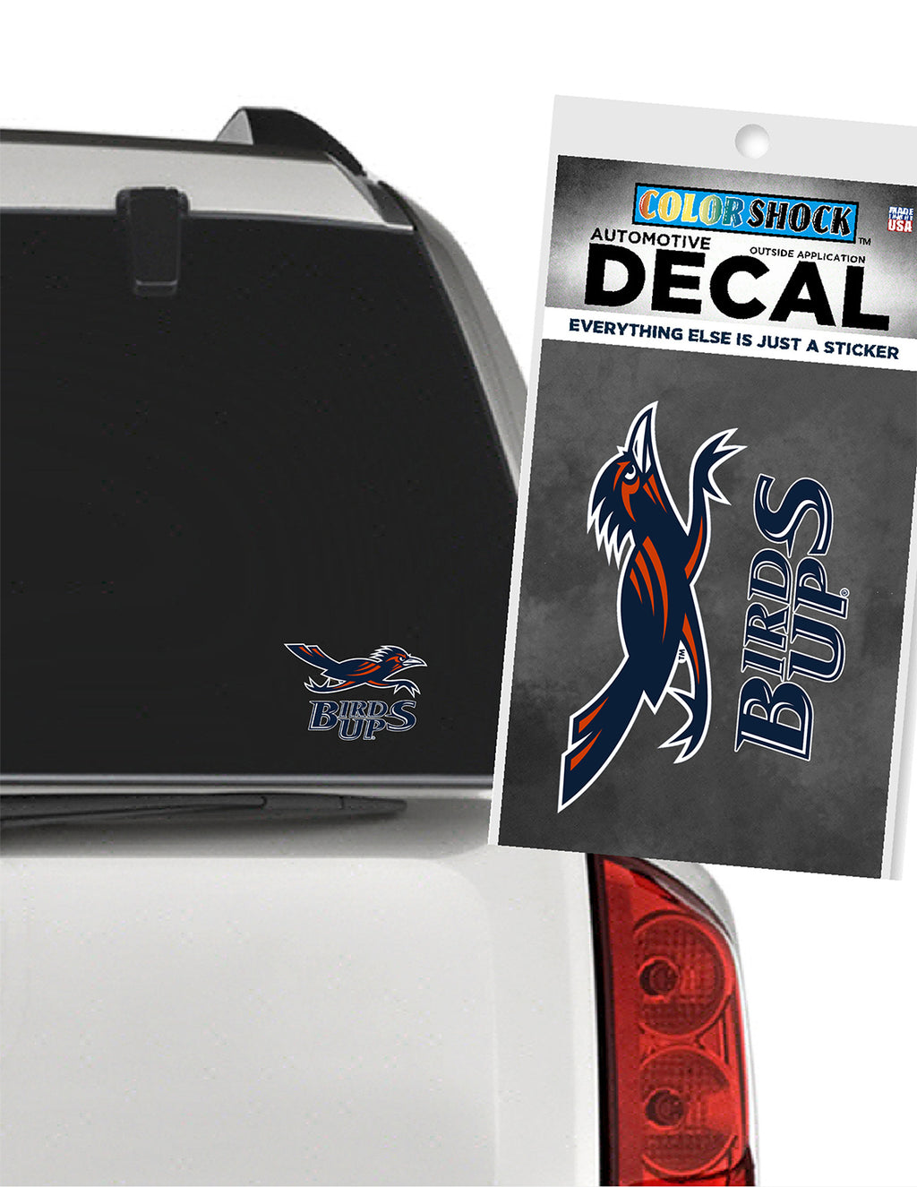UTSA Birds Up Car Decal | Barefoot Campus Outfitter
